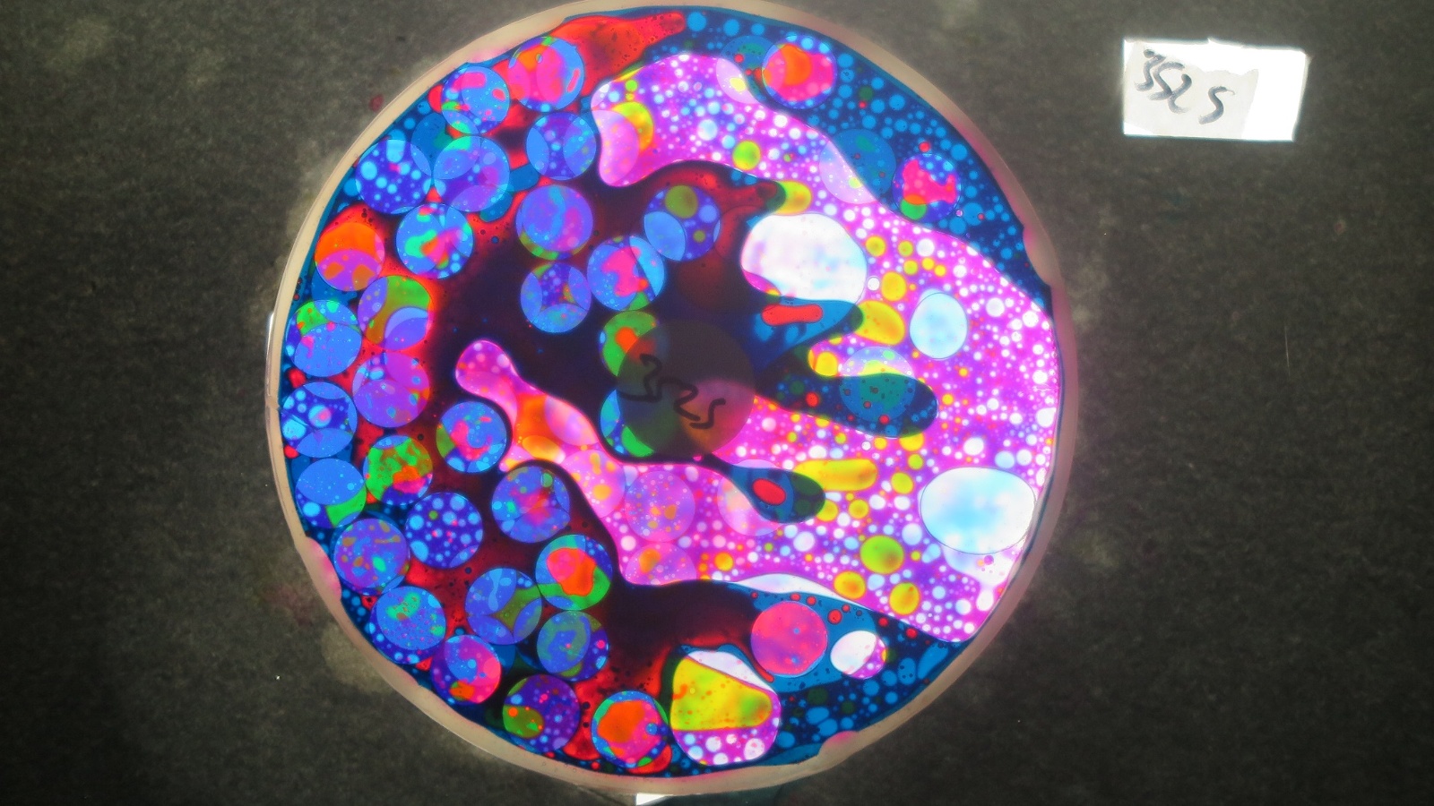 BV3525 bubble vision oil wheel